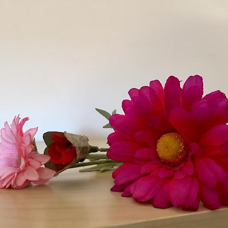 Apartament Can Callis Apartment Кастело д'Емпуриес Екстериор снимка